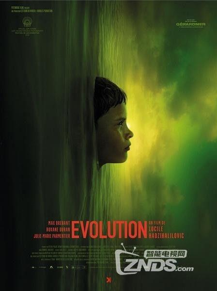 进化岛,探寻生命起源与物种演化的神秘之旅