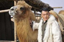 风雨沙坡头,沙漠奇观的自然变迁与探险传奇