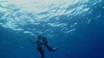 重回蓝色珊瑚礁,探寻海底奇观之旅