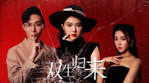 双生归来,命运交织的轮回之旅